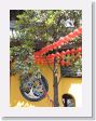 0519bJadeBuddha - 19 * Outside the Grand Hall * Outside the Grand Hall